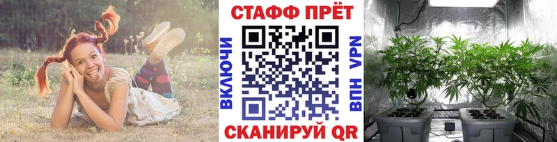 Где найти наркотики Москва Метадон  Мефедрон  ГАШИШ  Конопля  Cocaine 
