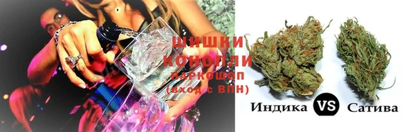гидра Михайловск