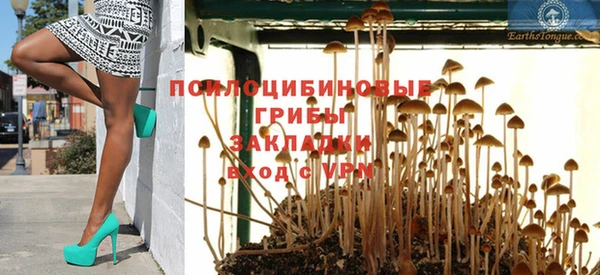героин Михайлов