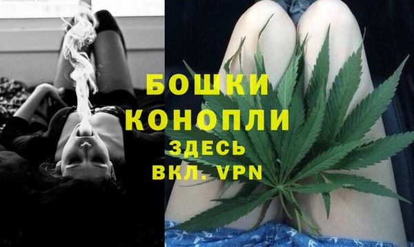 гидра Михайловск