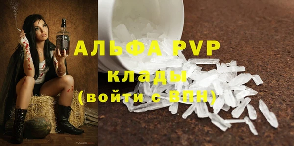 гидра Михайловск