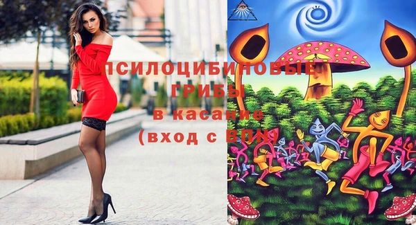 2c-b Михайловка