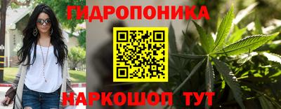 spice Балахна