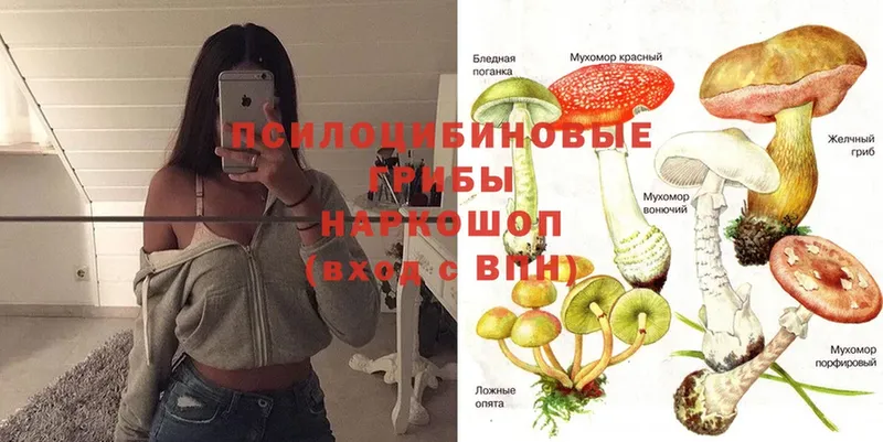 блэк спрут ссылка  Москва  Псилоцибиновые грибы Magic Shrooms  купить  
