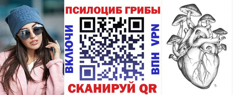 Галлюциногенные грибы Psilocybe Москва