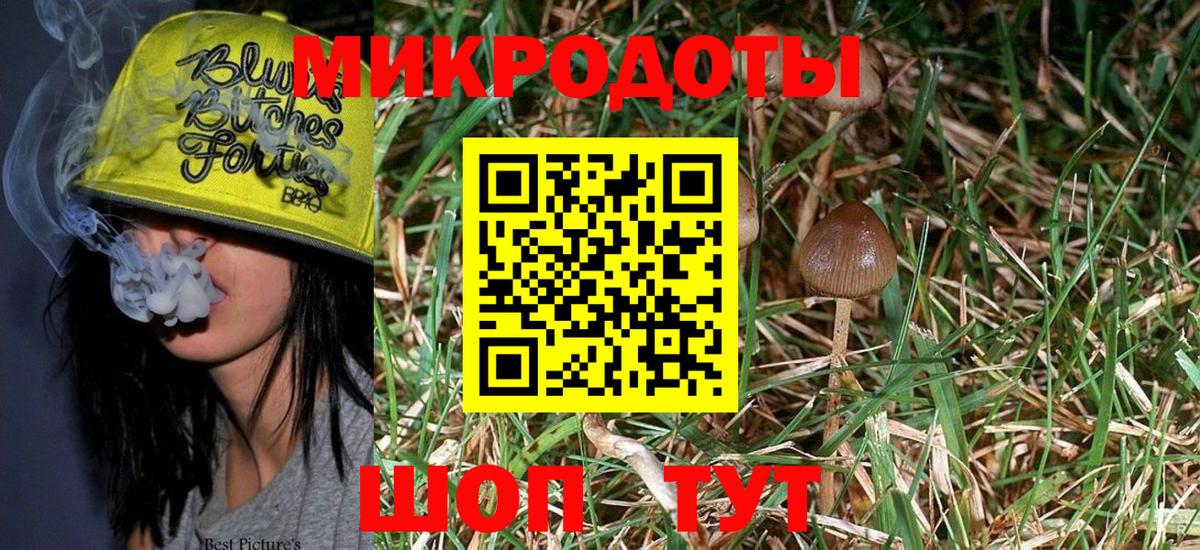 Галлюциногенные грибы MAGIC MUSHROOMS  Москва  Псилоцибиновые грибы Psilocybe 
