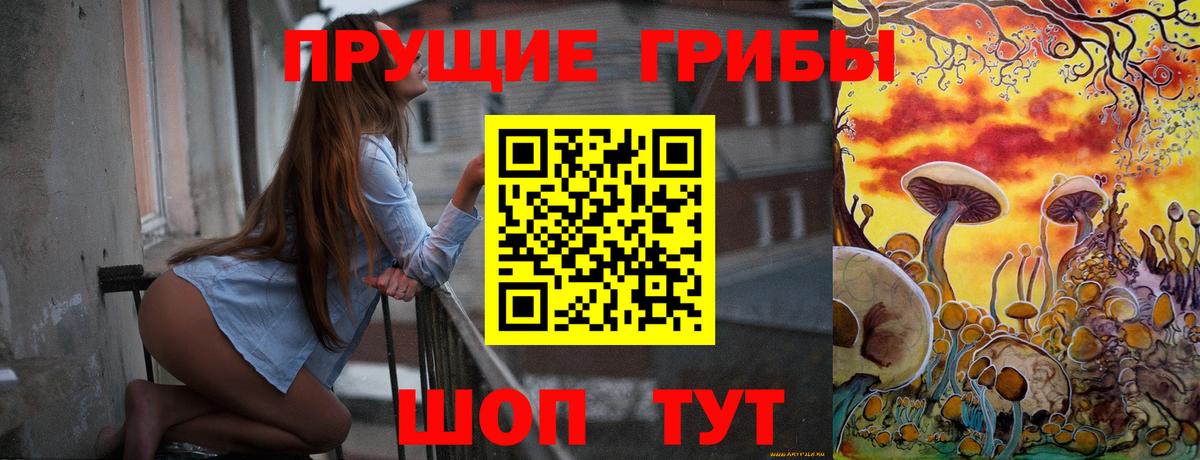 Псилоцибиновые грибы Psilocybine cubensis Москва