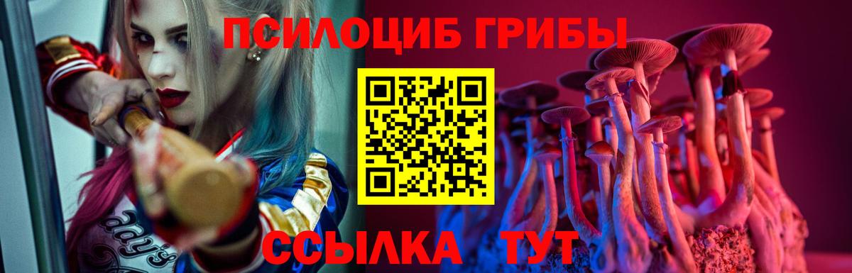 Галлюциногенные грибы прущие грибы  Вход с VPN  где купить наркоту  Москва 